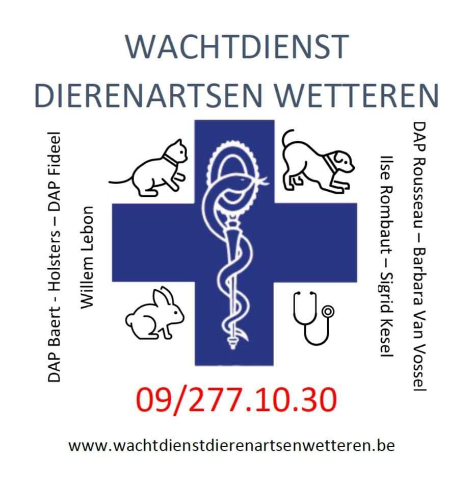 Wachtdienst